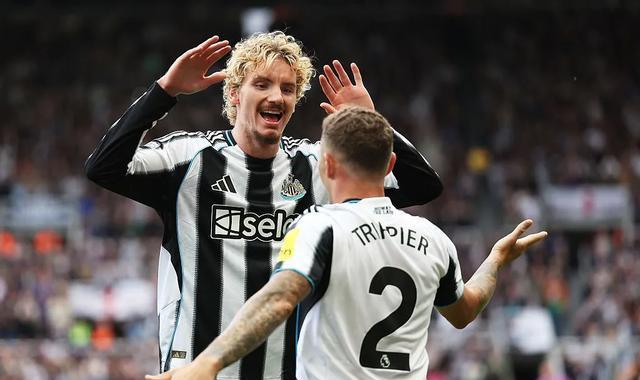 分贝, img, 击败狼队