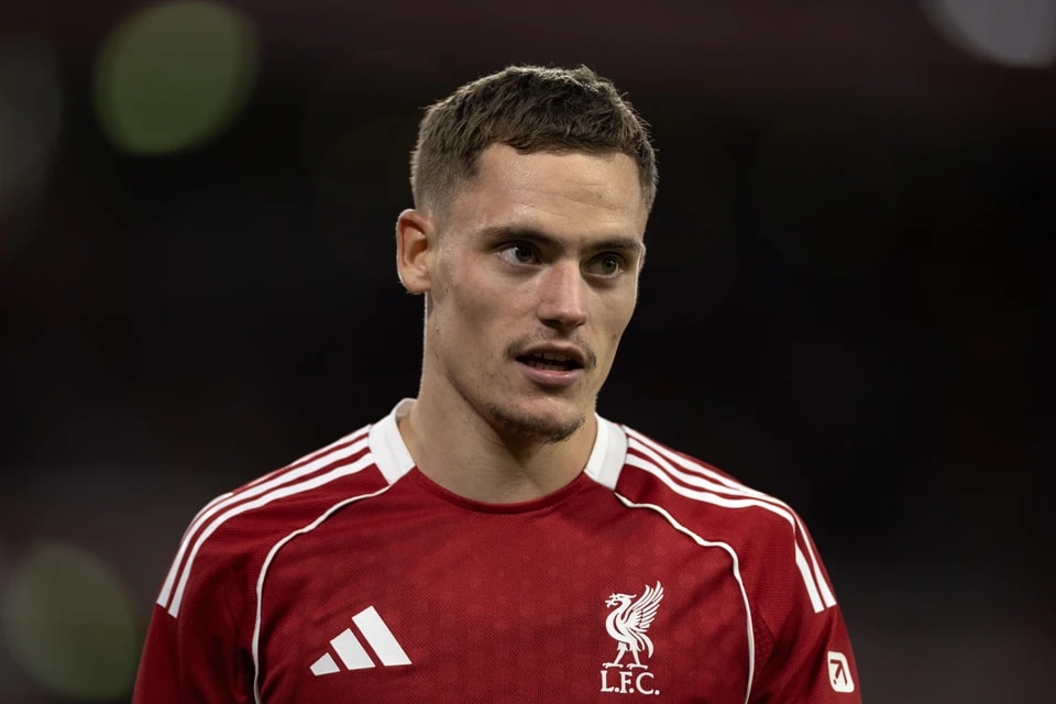 对他和他的 对他和他的