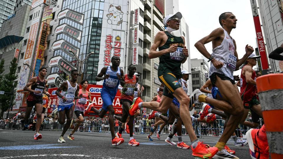 tVPvF, 因为新冠疫 tVPvF, 因为新冠疫