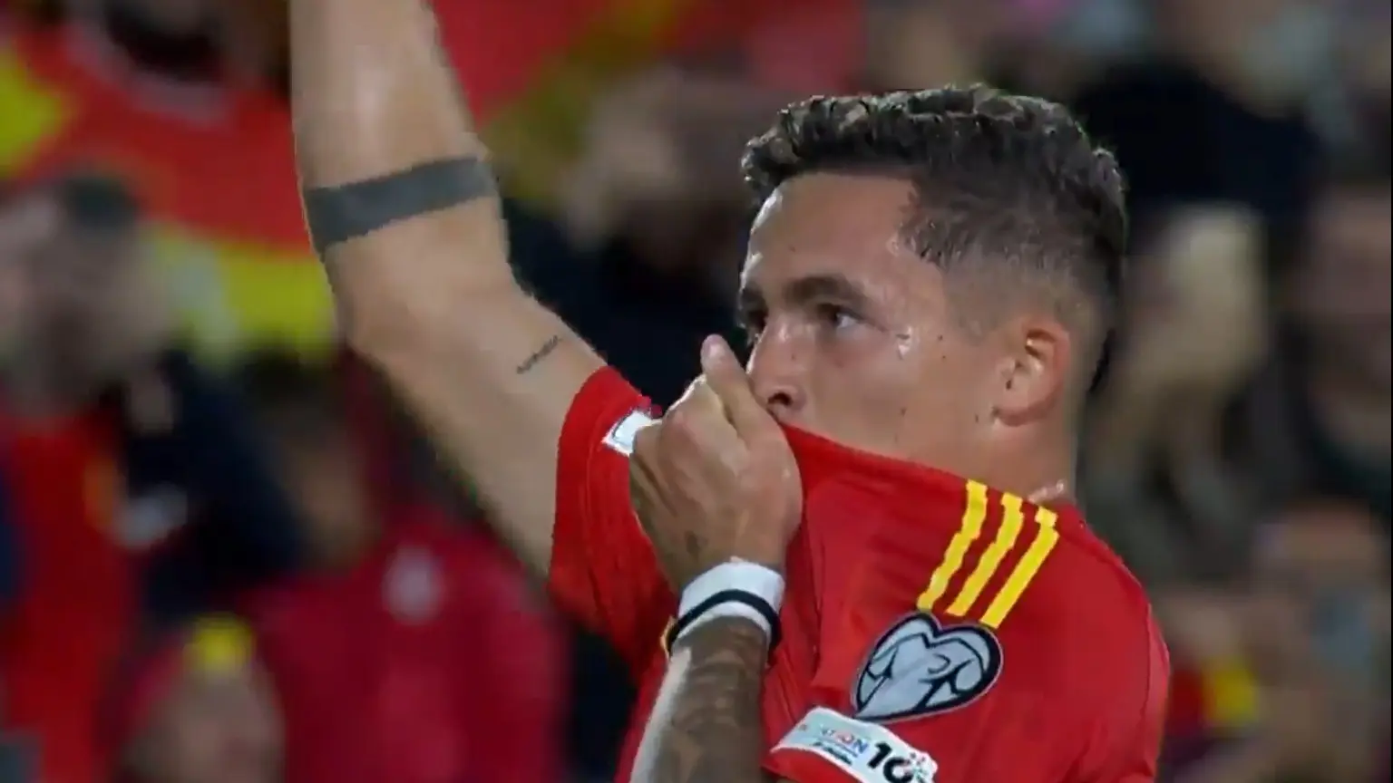 瑟洛特的传 瑟洛特的传